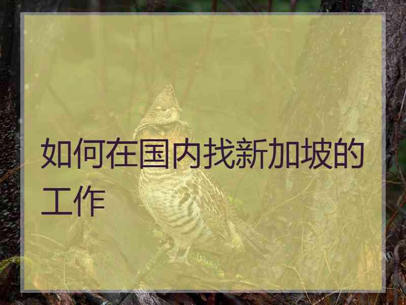 如何在国内找新加坡的工作