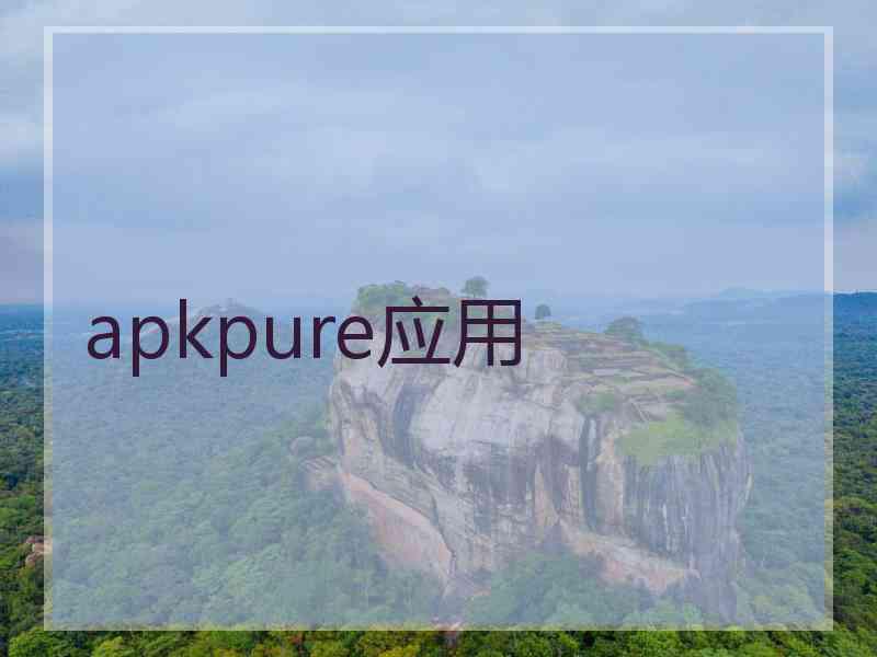 apkpure应用