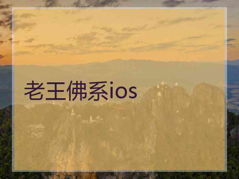 老王佛系ios