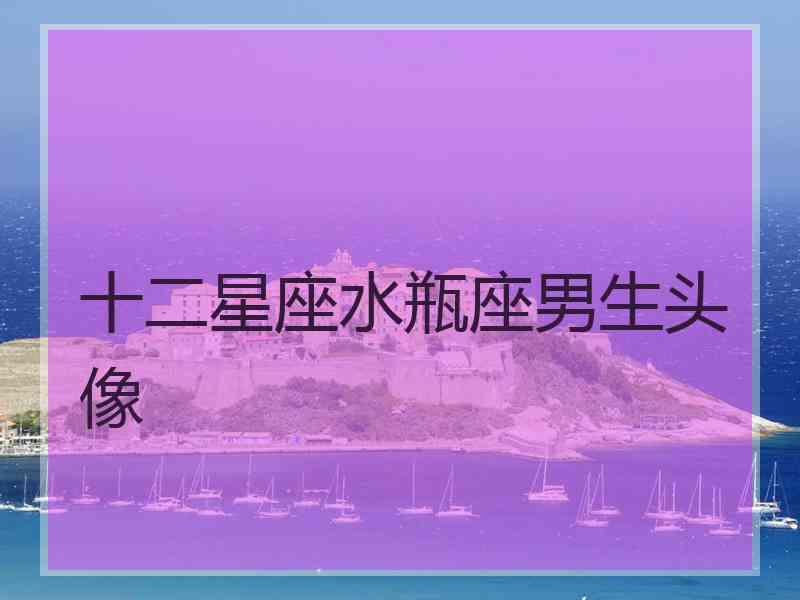十二星座水瓶座男生头像
