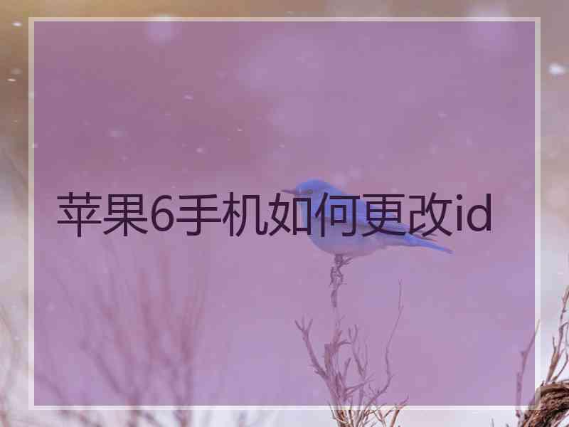苹果6手机如何更改id