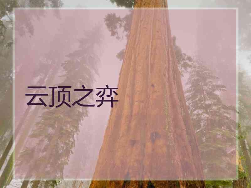 云顶之弈
