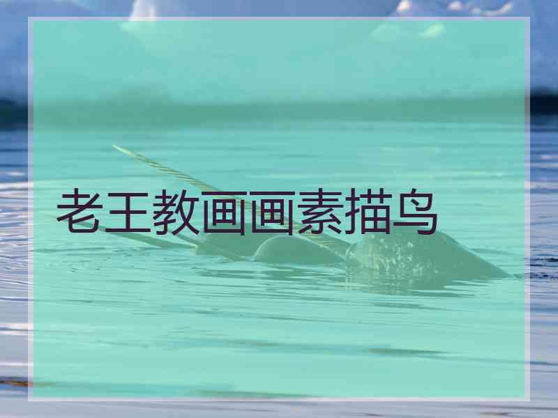 老王教画画素描鸟