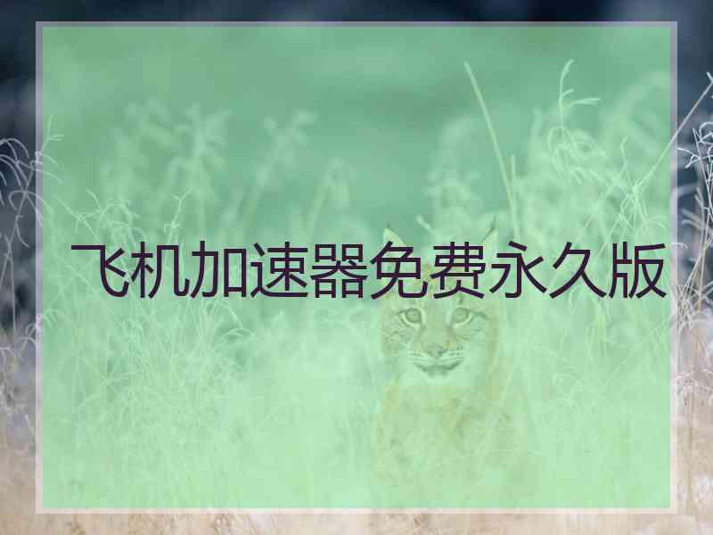 飞机加速器免费永久版