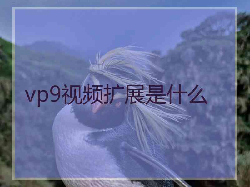vp9视频扩展是什么