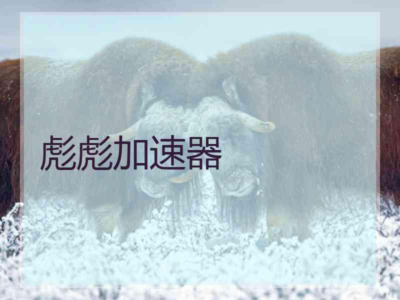 彪彪加速器