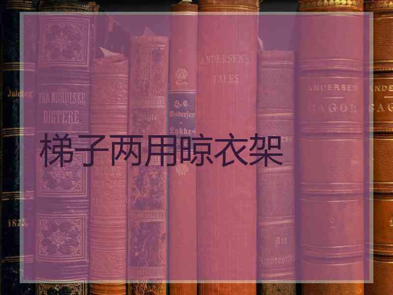 梯子两用晾衣架