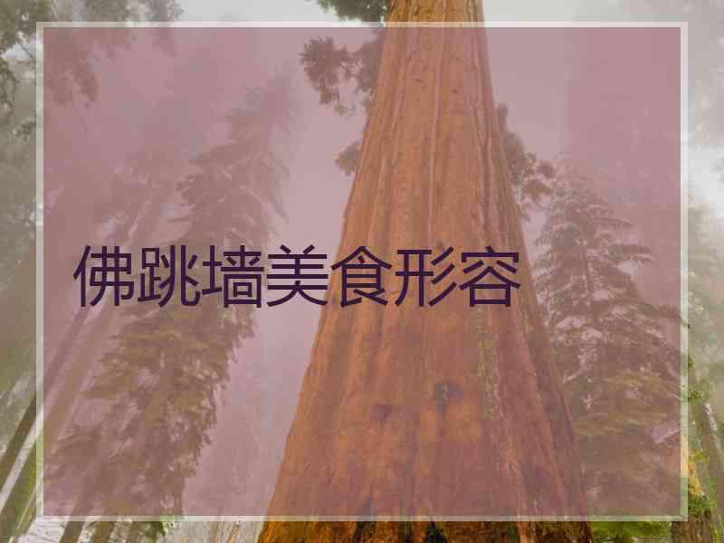 佛跳墙美食形容