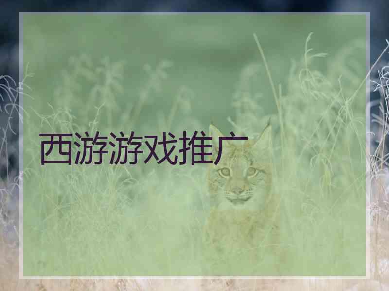 西游游戏推广
