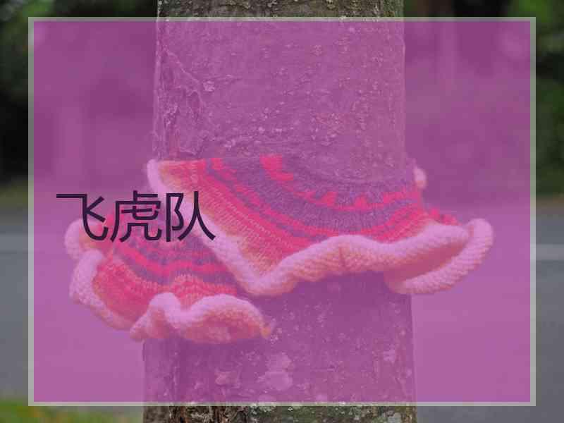 飞虎队