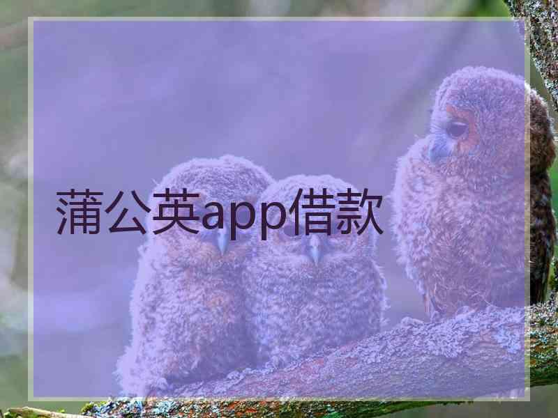 蒲公英app借款