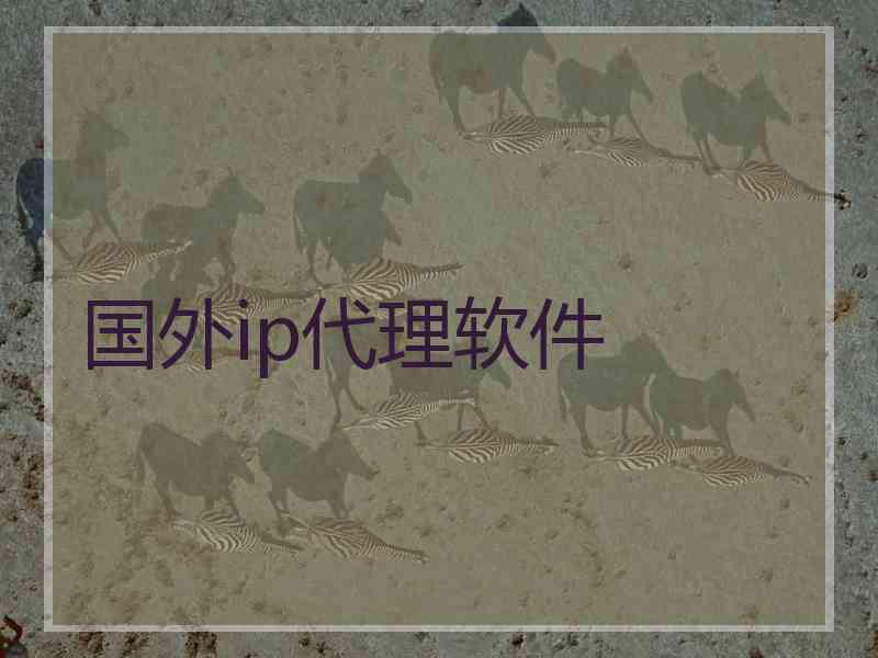 国外ip代理软件