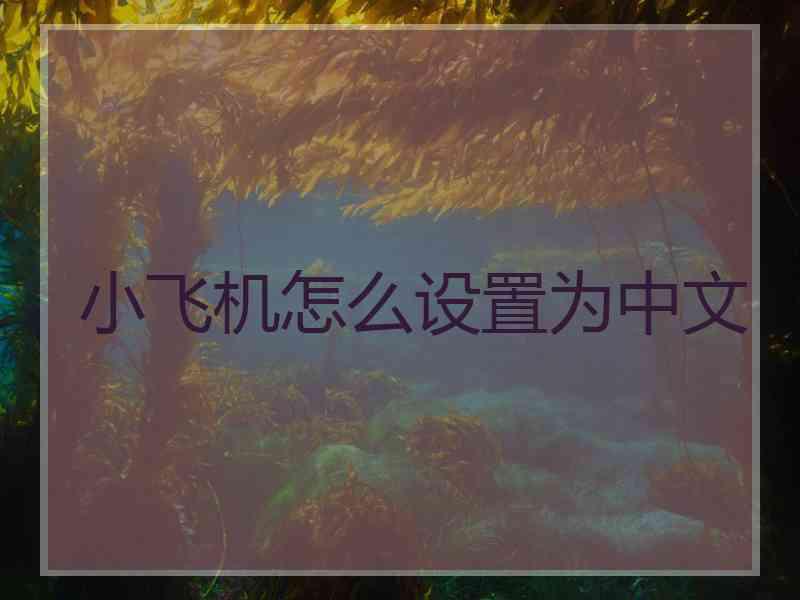 小飞机怎么设置为中文