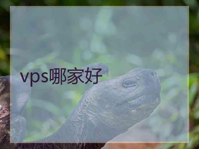vps哪家好