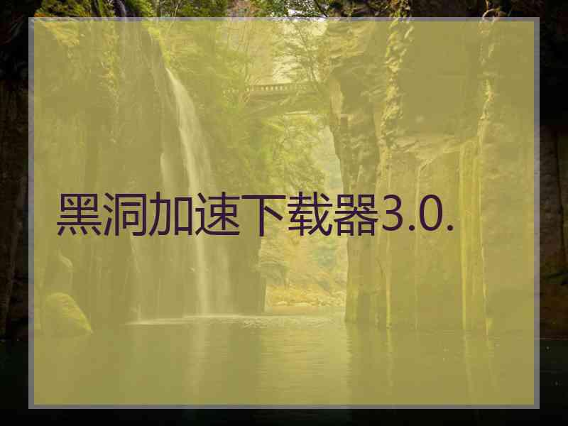 黑洞加速下载器3.0.