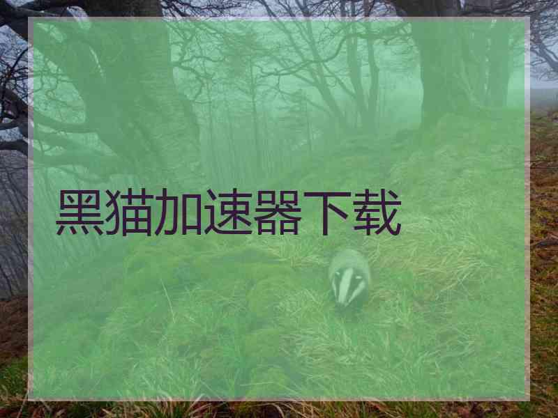 黑猫加速器下载