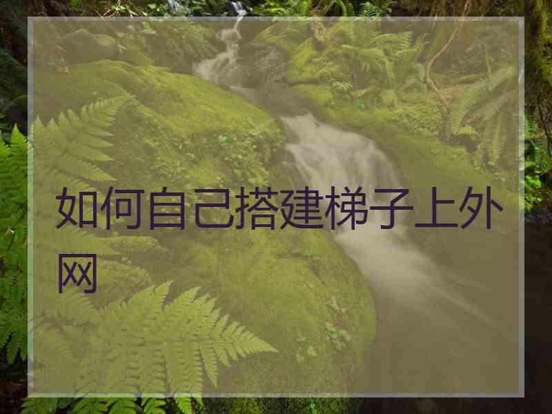 如何自己搭建梯子上外网