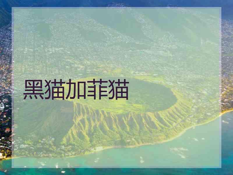 黑猫加菲猫