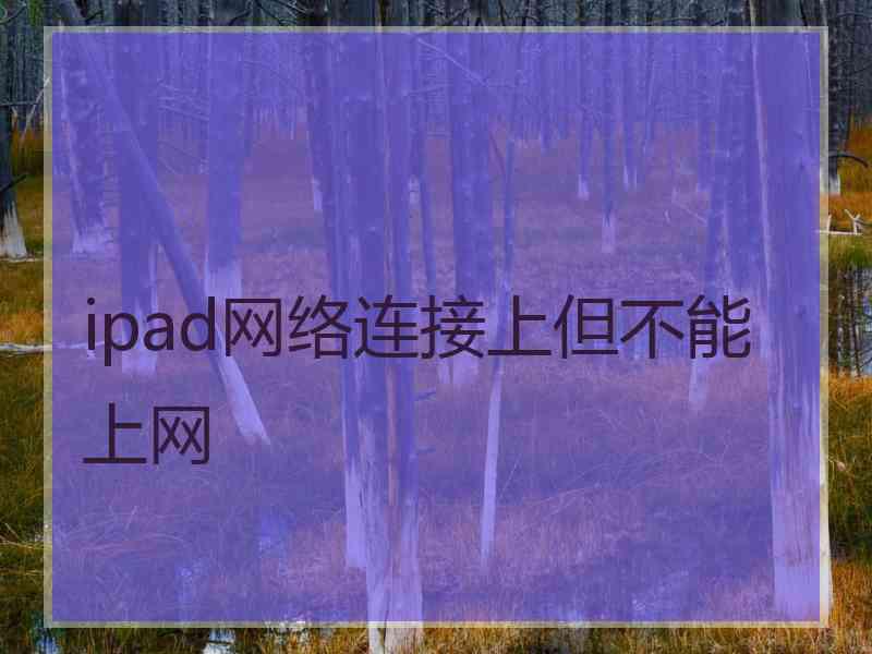 ipad网络连接上但不能上网