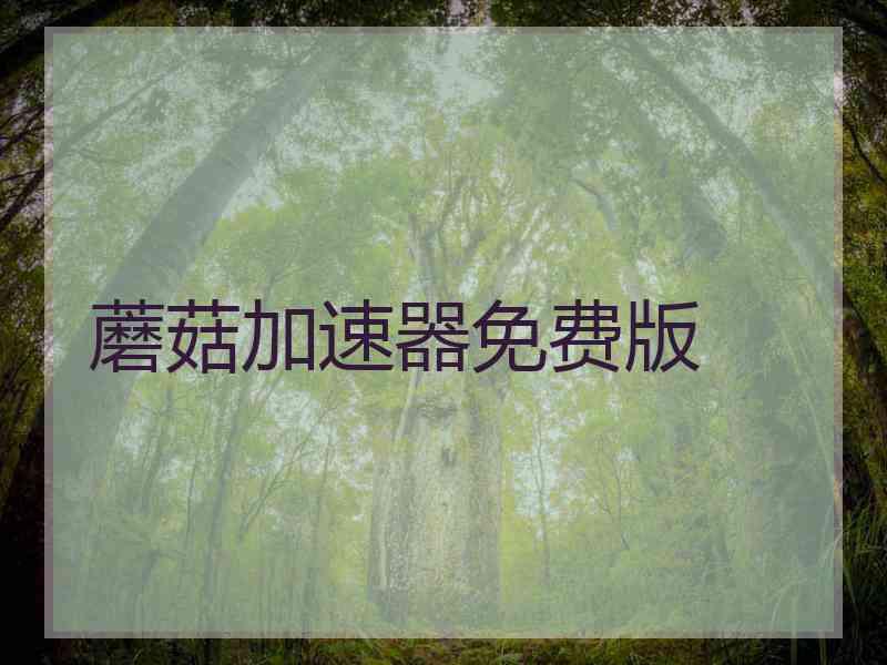 蘑菇加速器免费版