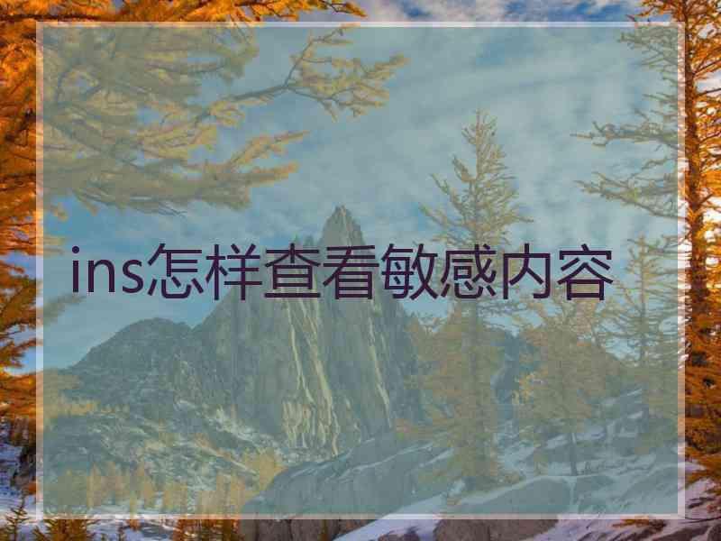 ins怎样查看敏感内容