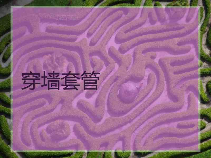 穿墙套管