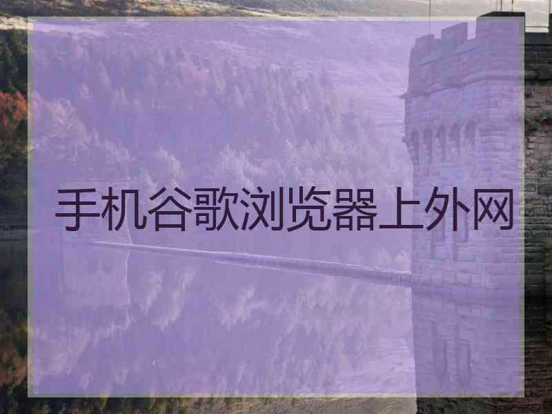 手机谷歌浏览器上外网