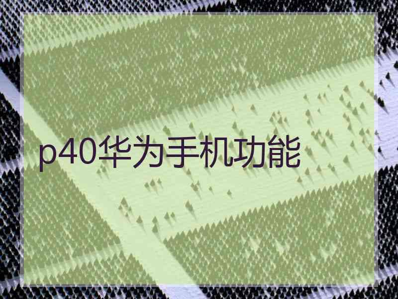 p40华为手机功能