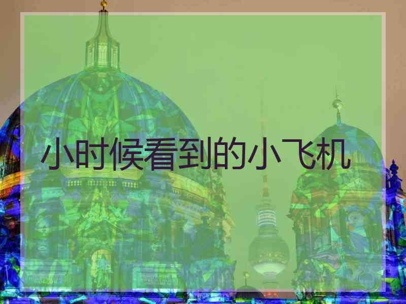 小时候看到的小飞机