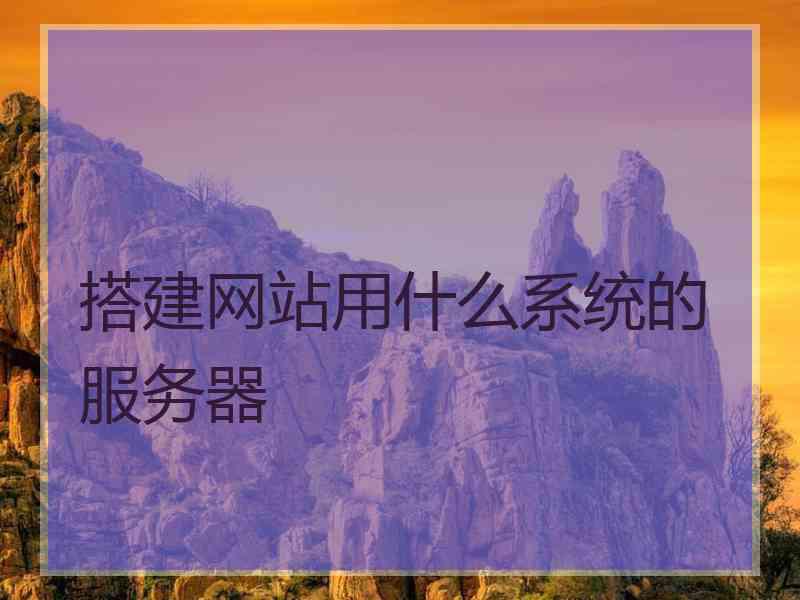 搭建网站用什么系统的服务器