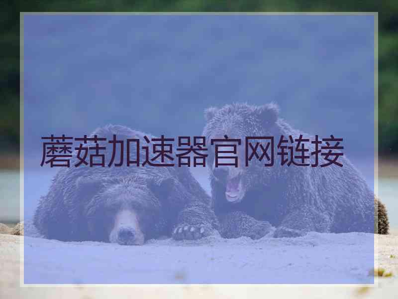 蘑菇加速器官网链接