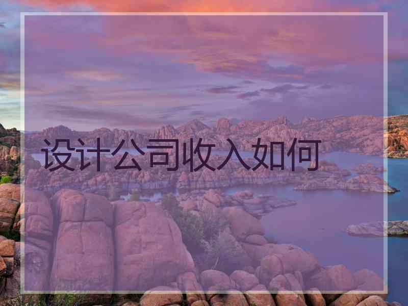 设计公司收入如何