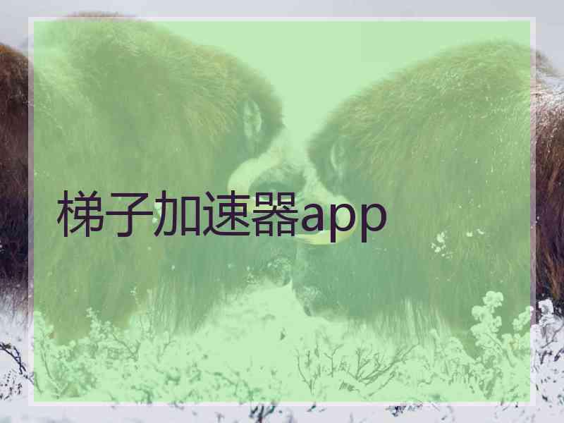 梯子加速器app
