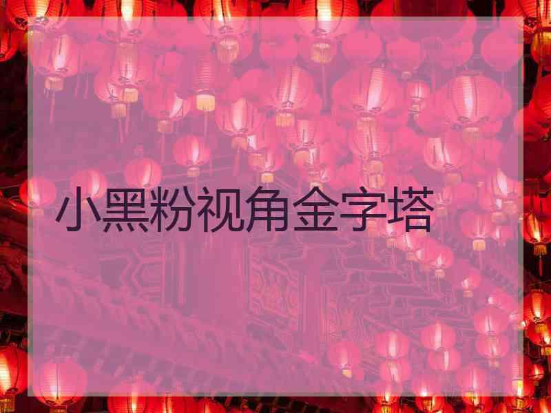 小黑粉视角金字塔