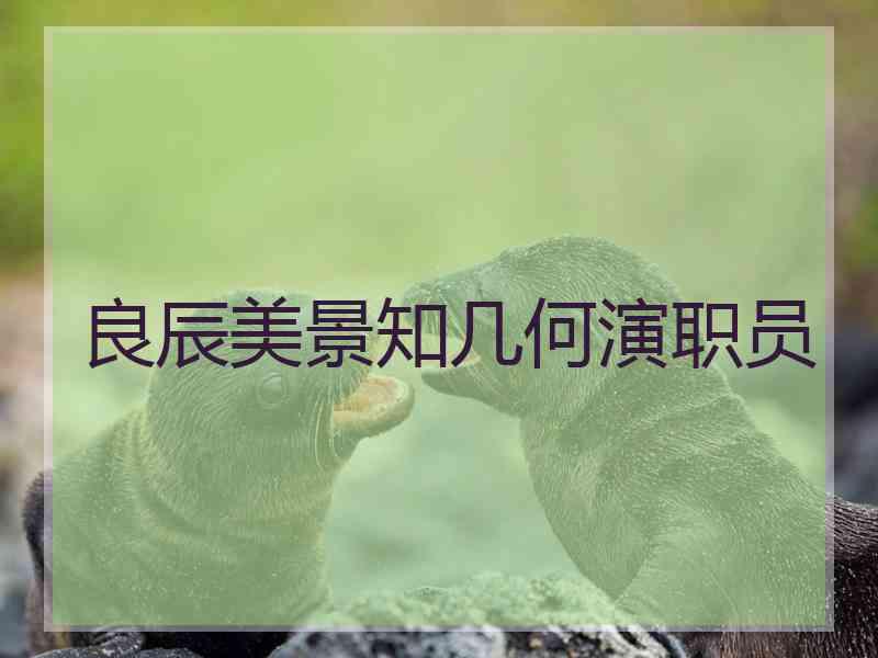 良辰美景知几何演职员