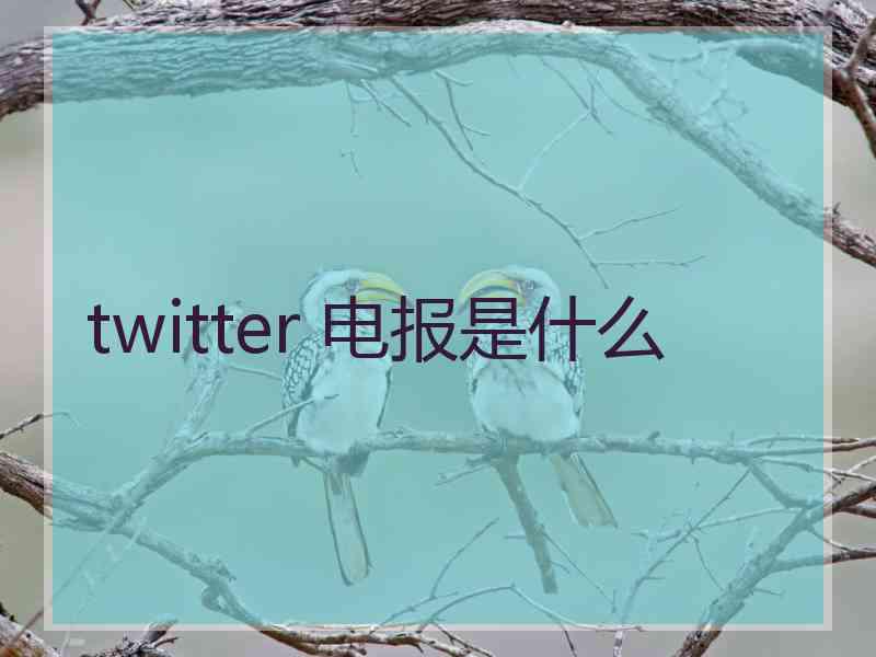 twitter 电报是什么