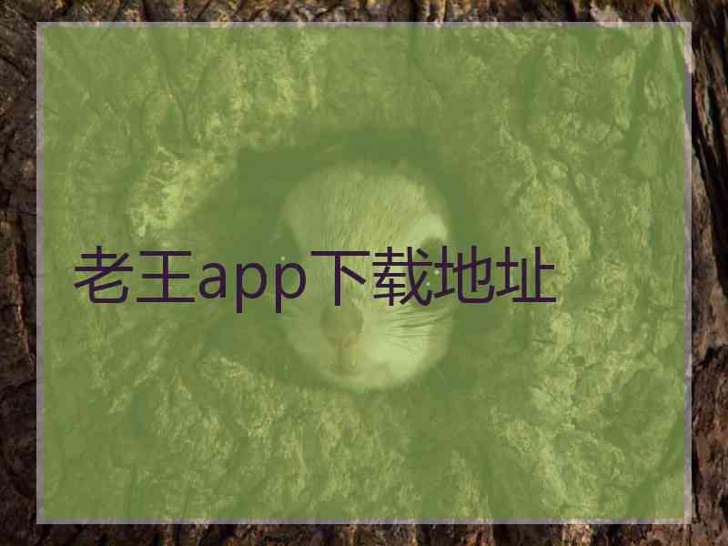 老王app下载地址
