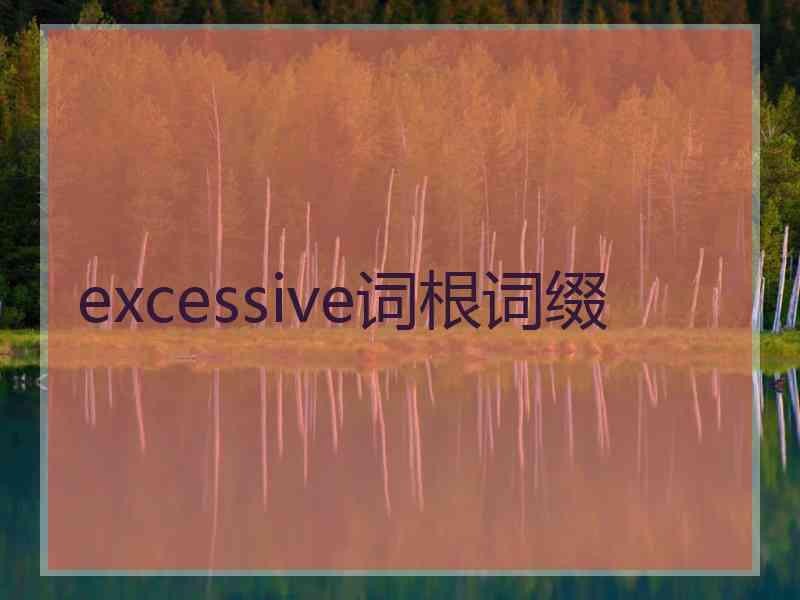 excessive词根词缀