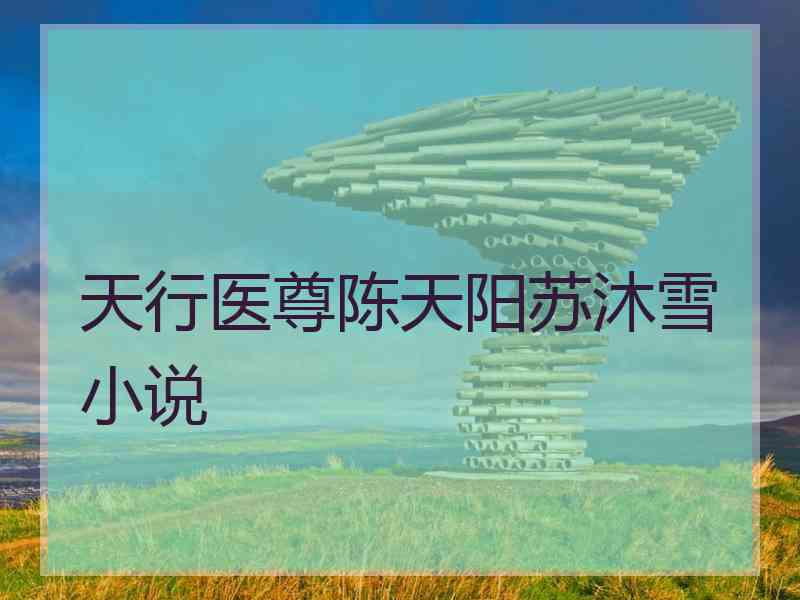 天行医尊陈天阳苏沐雪小说