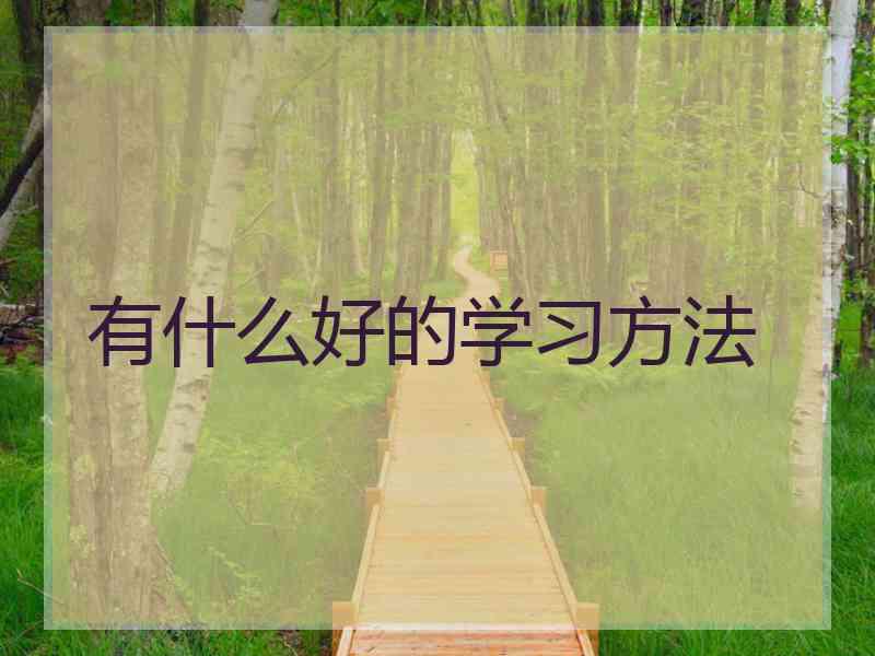 有什么好的学习方法