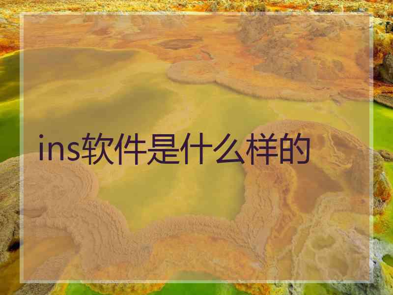 ins软件是什么样的