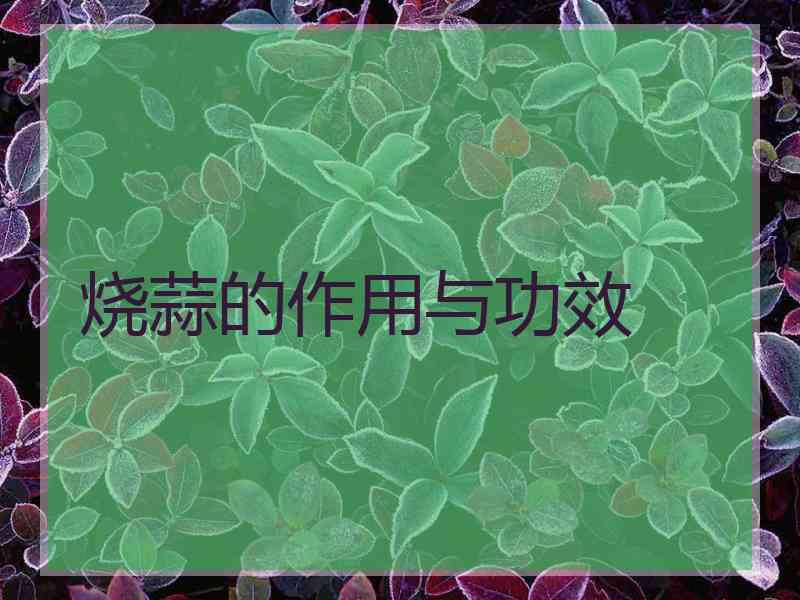 烧蒜的作用与功效