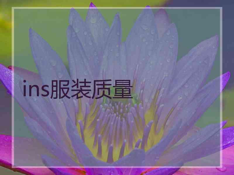 ins服装质量