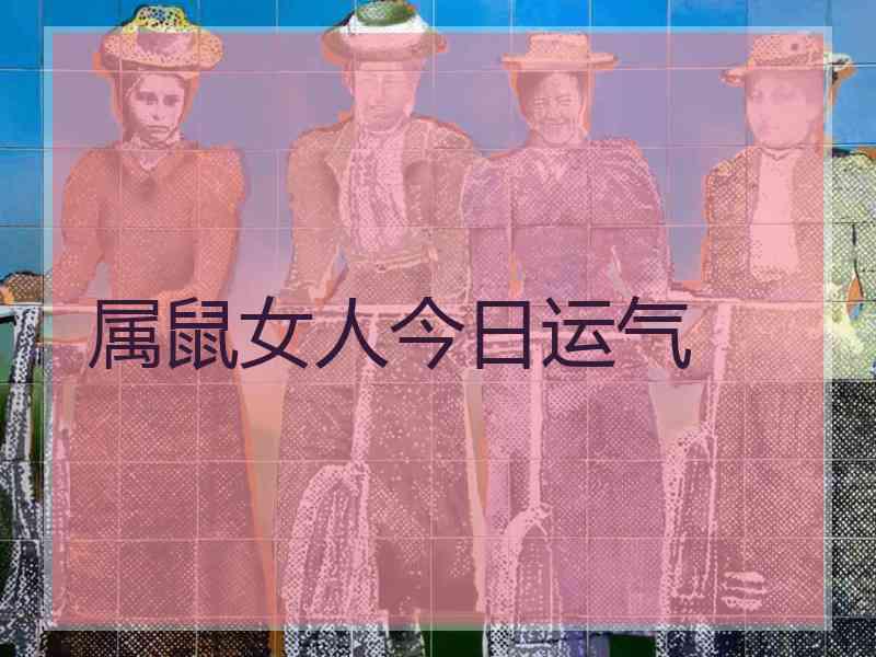 属鼠女人今日运气