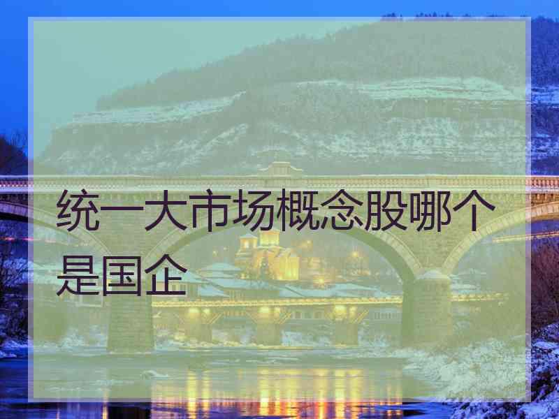 统一大市场概念股哪个是国企