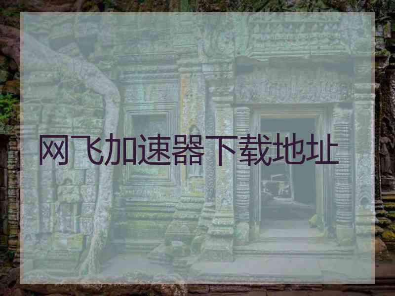 网飞加速器下载地址