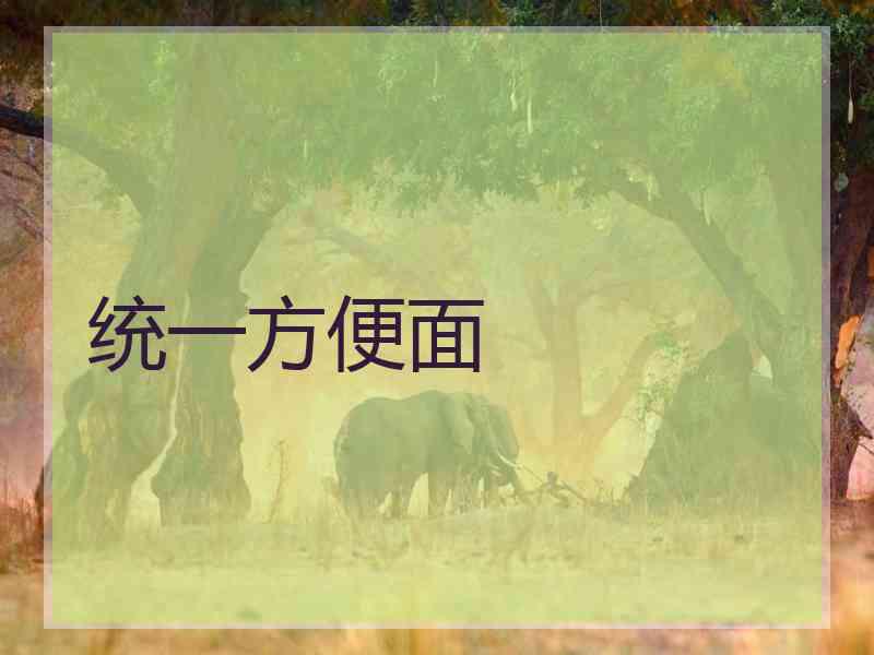 统一方便面