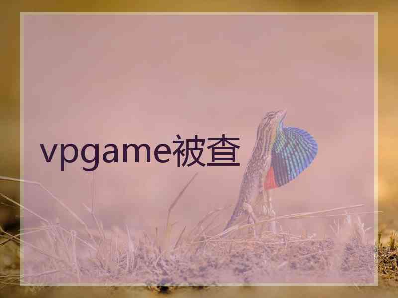 vpgame被查