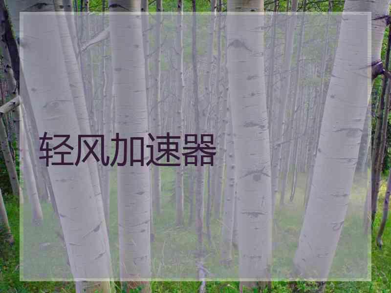 轻风加速器