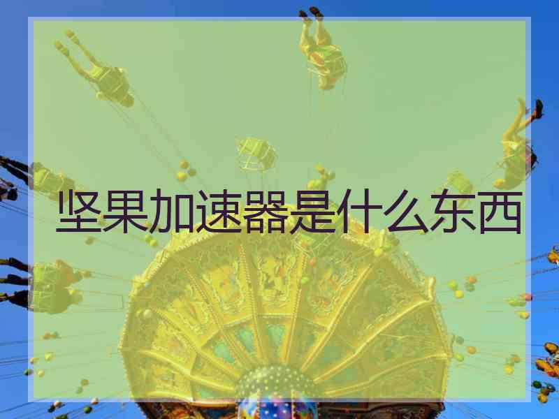 坚果加速器是什么东西